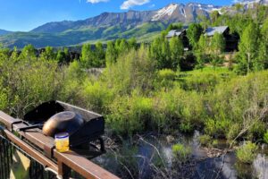 Telluride vacation rental home overlooking lush mountain woods